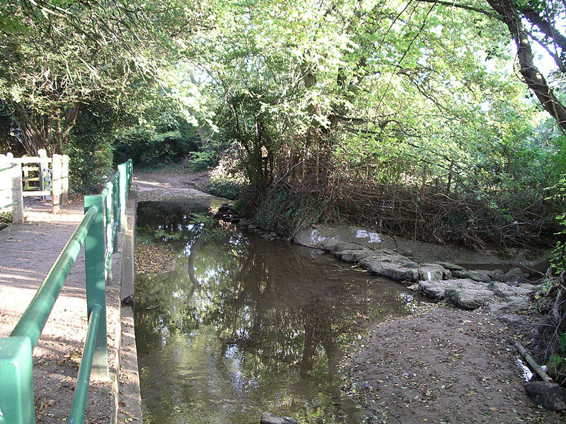 Canley Ford